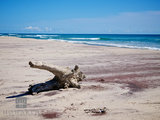 Sable Beach IV print