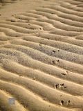 Ripples print