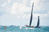 Oracle Team USA & Softbank III print