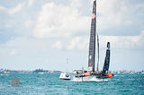 Oracle Team USA & Softbank II print