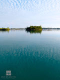 Fern Island View print