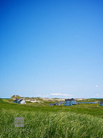 Island Inhabitants 