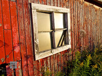Red Window