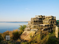 Louisbourg Pots