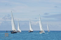 Yachts Approaching Bermuda