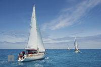 Sailing Fleet Offshore