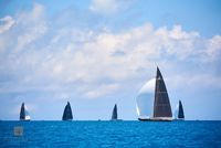 J Class Fleet Across the Horizon