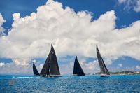 J Class Fleet Near Shore