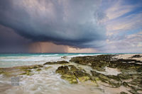 Summer Squall 