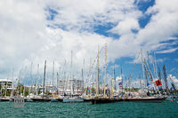 Sailboats and Masts in Hamilton Harbour