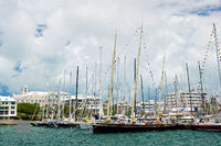 Hamilton Harbour Sailing Fleet