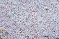Pink Sand II
