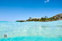 Turquoise Water Near Shore