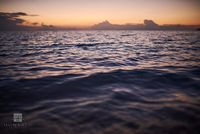 Twilight at Water Level