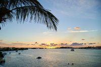 Palm-Framed Bay at Dusk