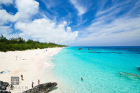 Warwick Long Bay VIII