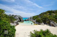 Jobson's Cove IV