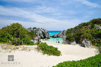 Jobson's Cove II