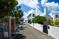 The Bermuda Perfumery II
