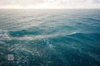Ocean Rain