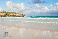Beach Sandpiper I