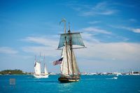 Tall Ship Approaching