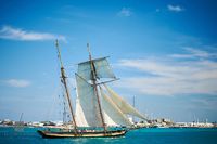 Schooner Under Sail