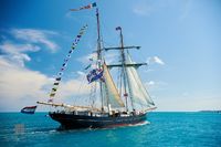 Flag-Dressed Schooner