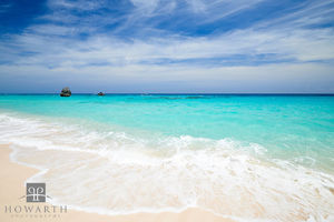 Along the shore