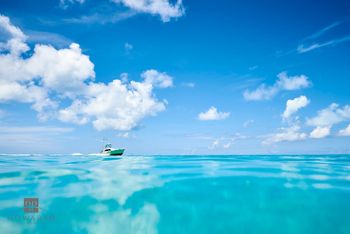 Bermuda Image Library