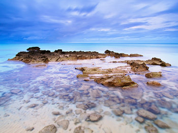 Bermuda Seascapes