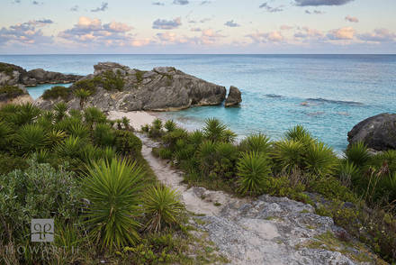 Chaplin Bay View