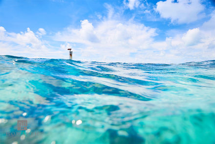 Out into the Blue II