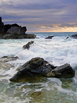 Morning Splash