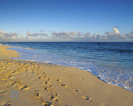 Footprints