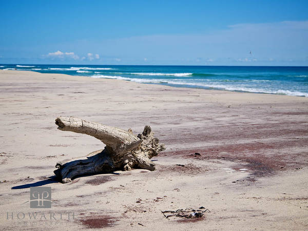 Sable Beach IV print