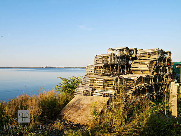 Louisbourg Pots print