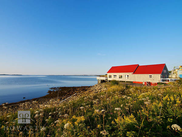 Red Roof print