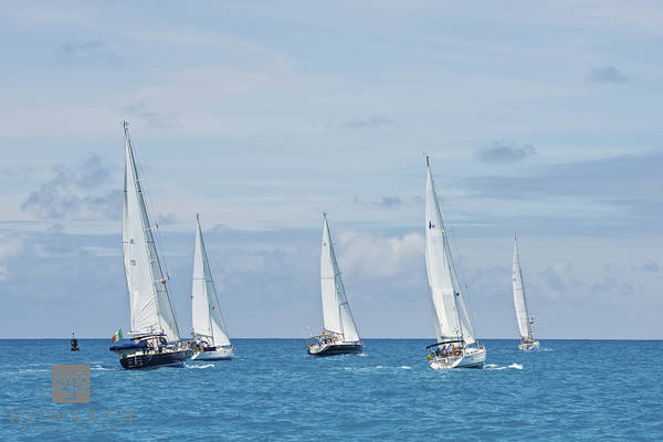 Yachts Approaching Bermuda print