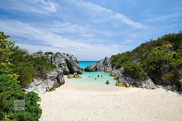 Jobson's Cove III print