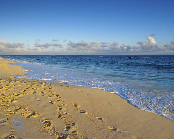 Footprints print