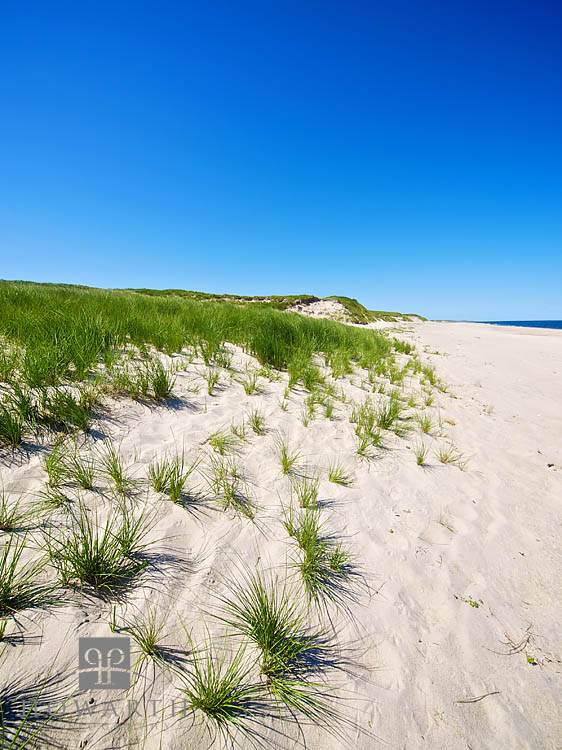 Sable Beach Sable Beach during the Spirit of Bermuda voyage at Sable Island, Canada