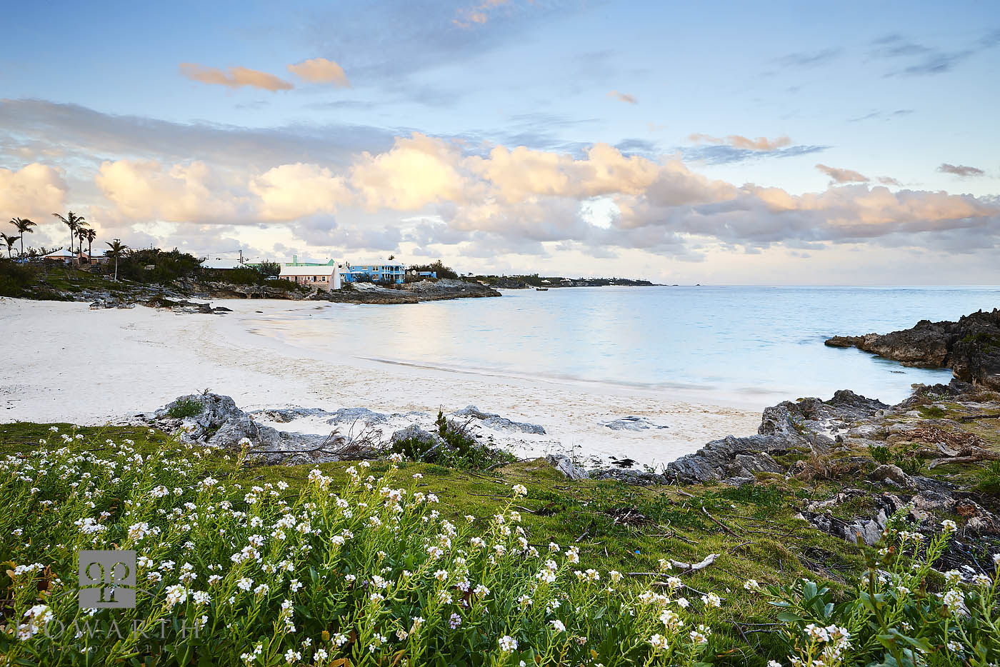 A quiet evening on the beach with a floral foreground&nbsp;