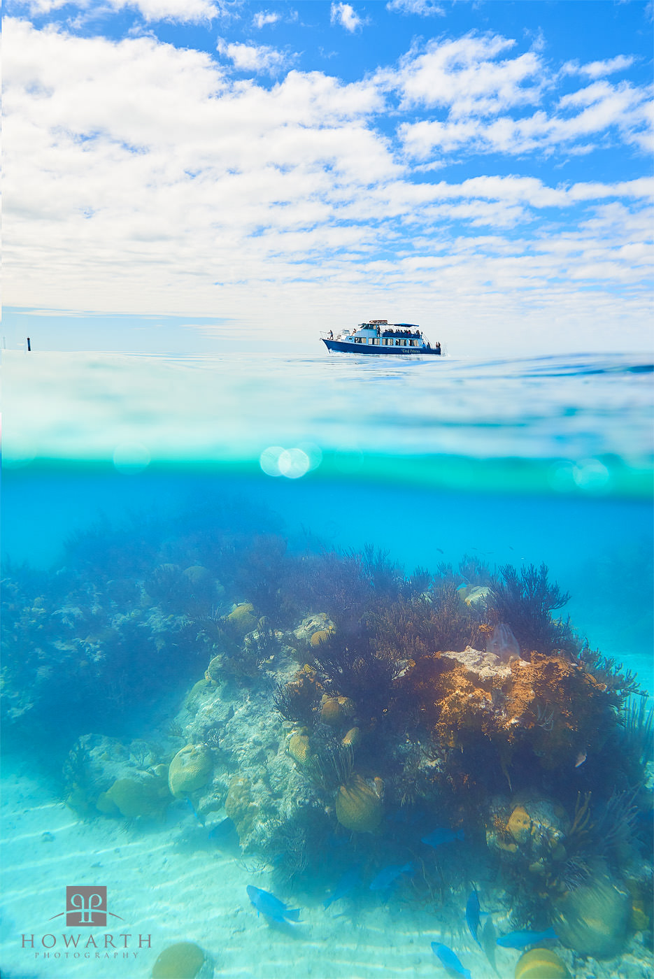Split shot of a snorkeling boat and Bermuda Reefs