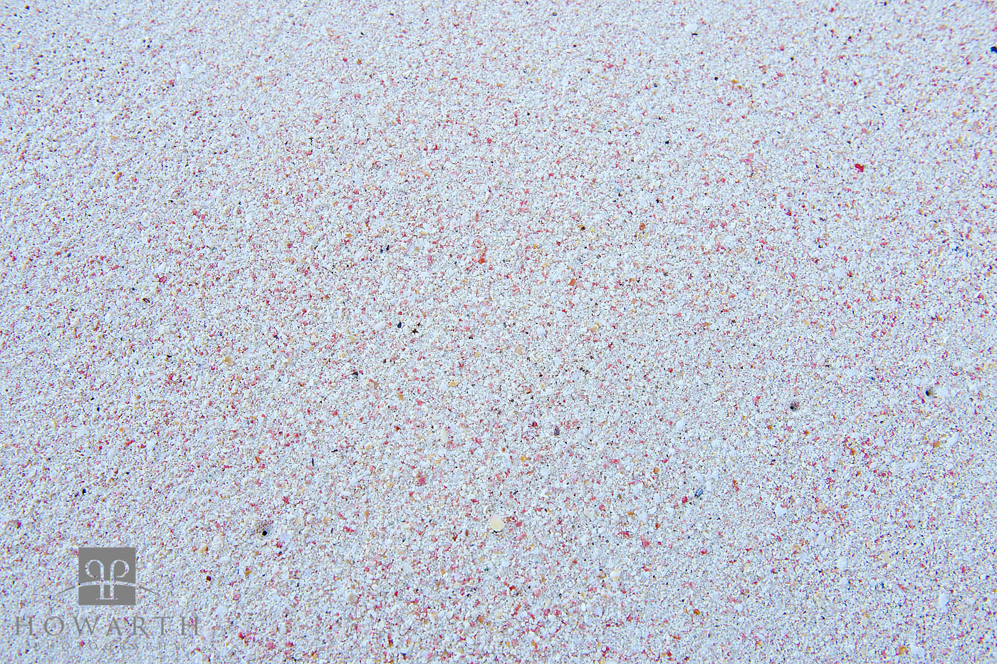 Pink Sand I