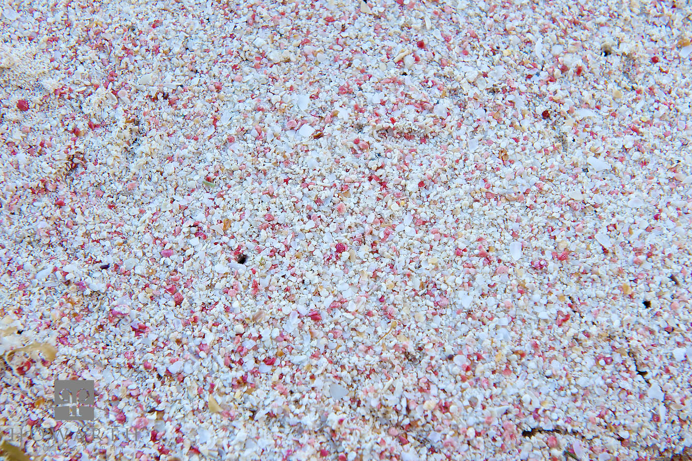 Pink Sand II