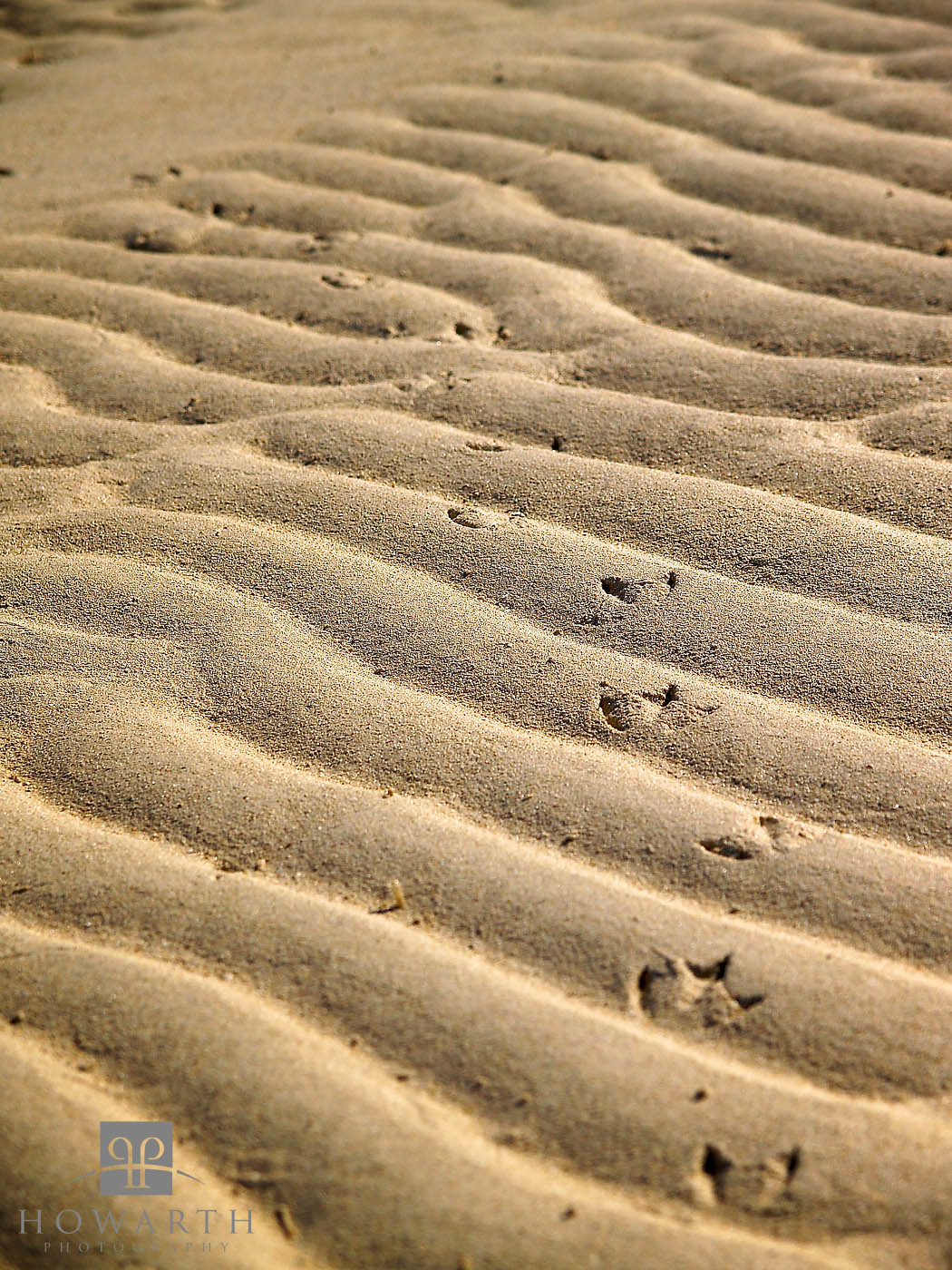 Low tide exposing the sandy shallows
