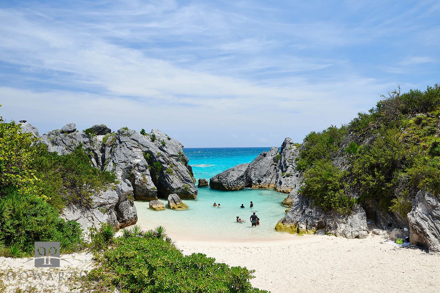 Jobson's Cove I