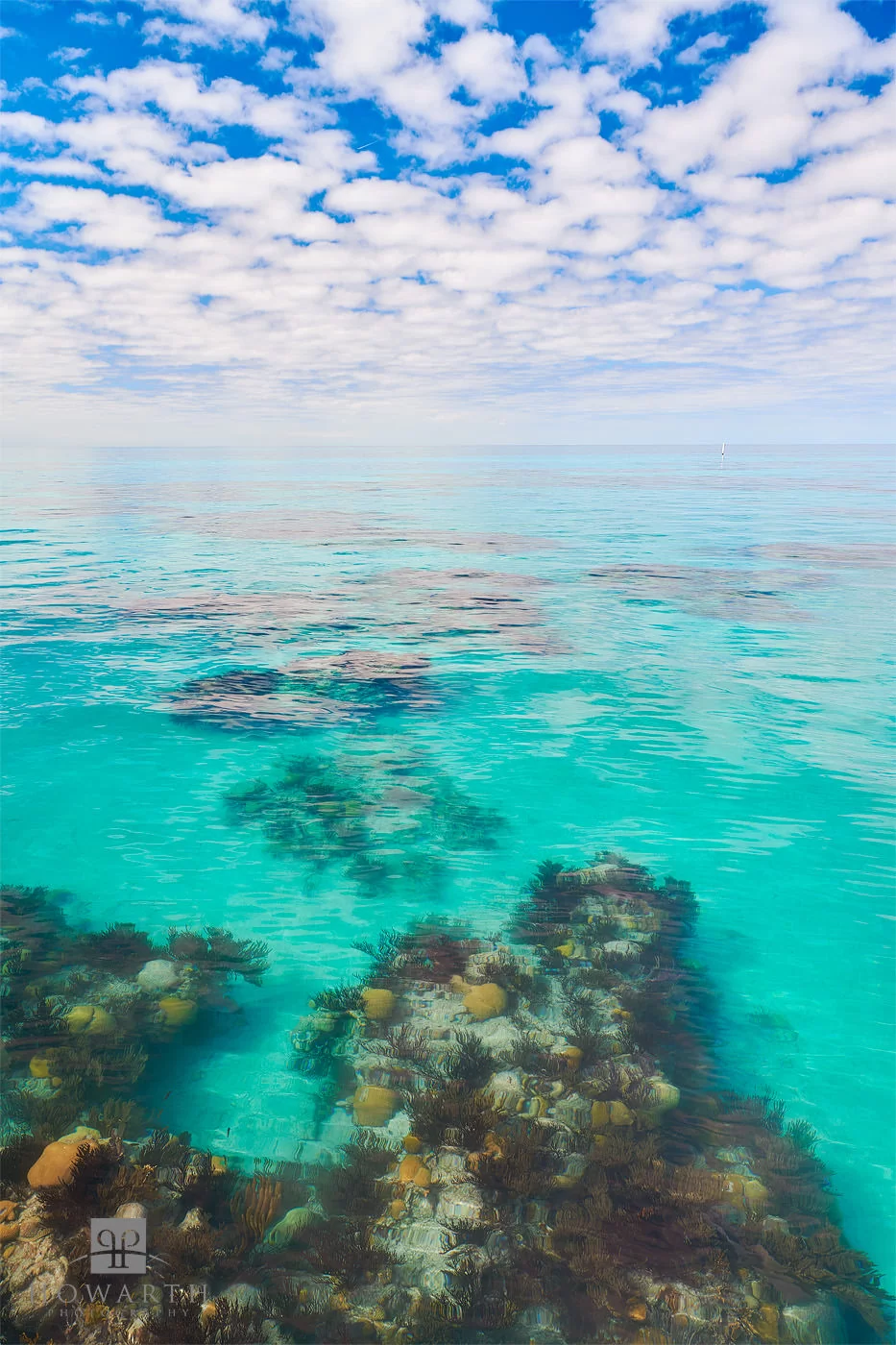 Reef Transition at Western Blue Cut, Bermuda