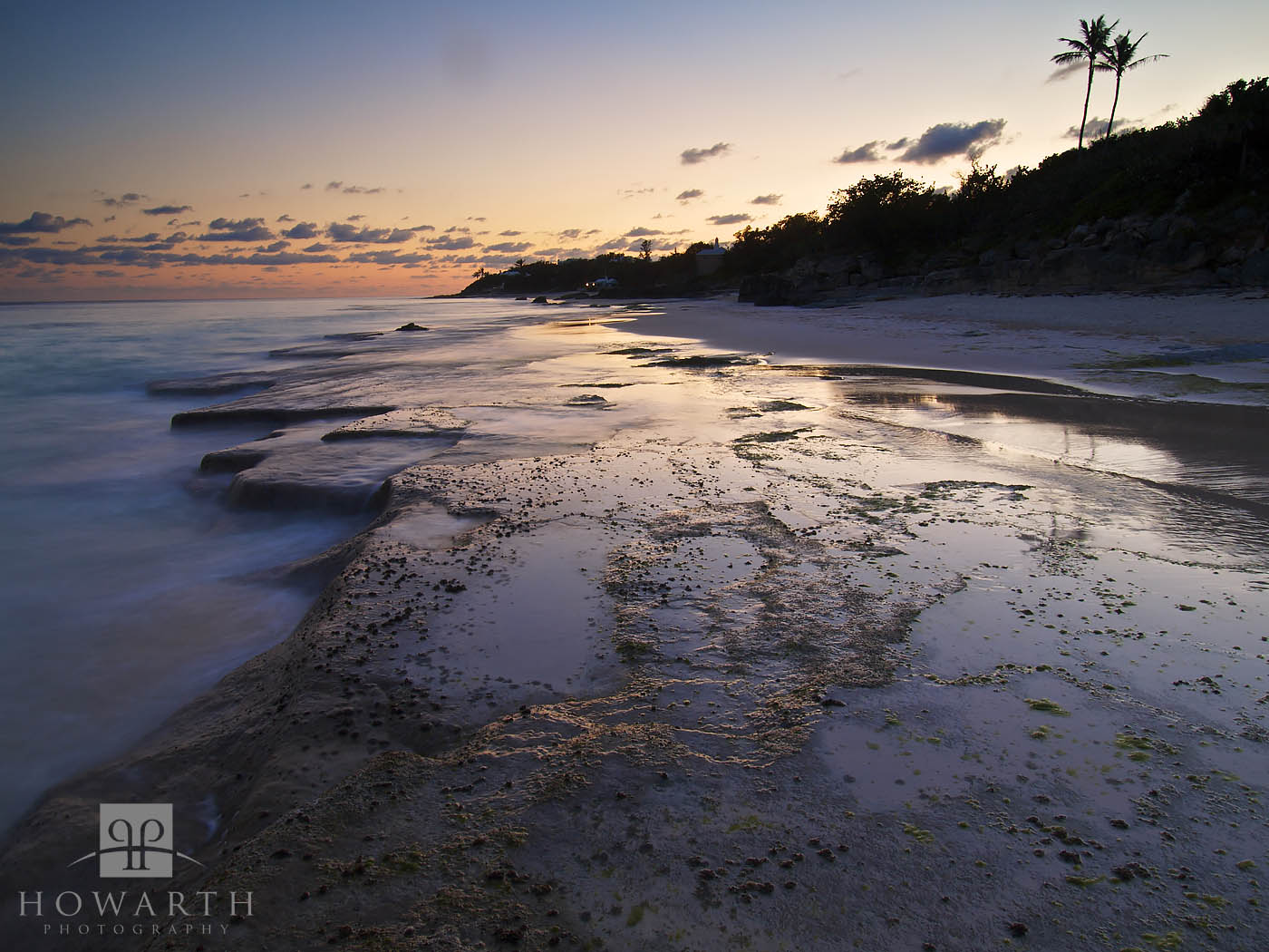 Dusk in the shallows and silhouetted palms